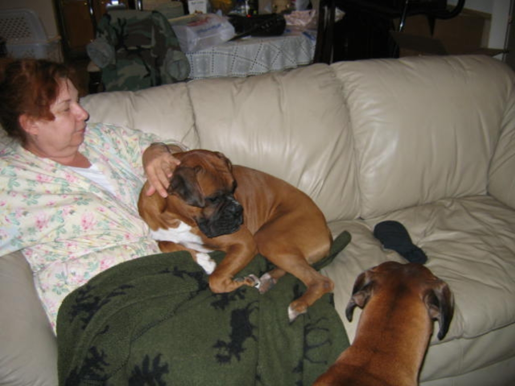 img_1720.jpg